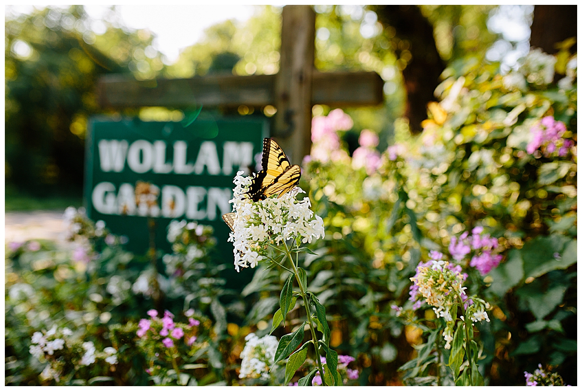 Wollam Gardens family portrait session with Seana Shuchart Photography