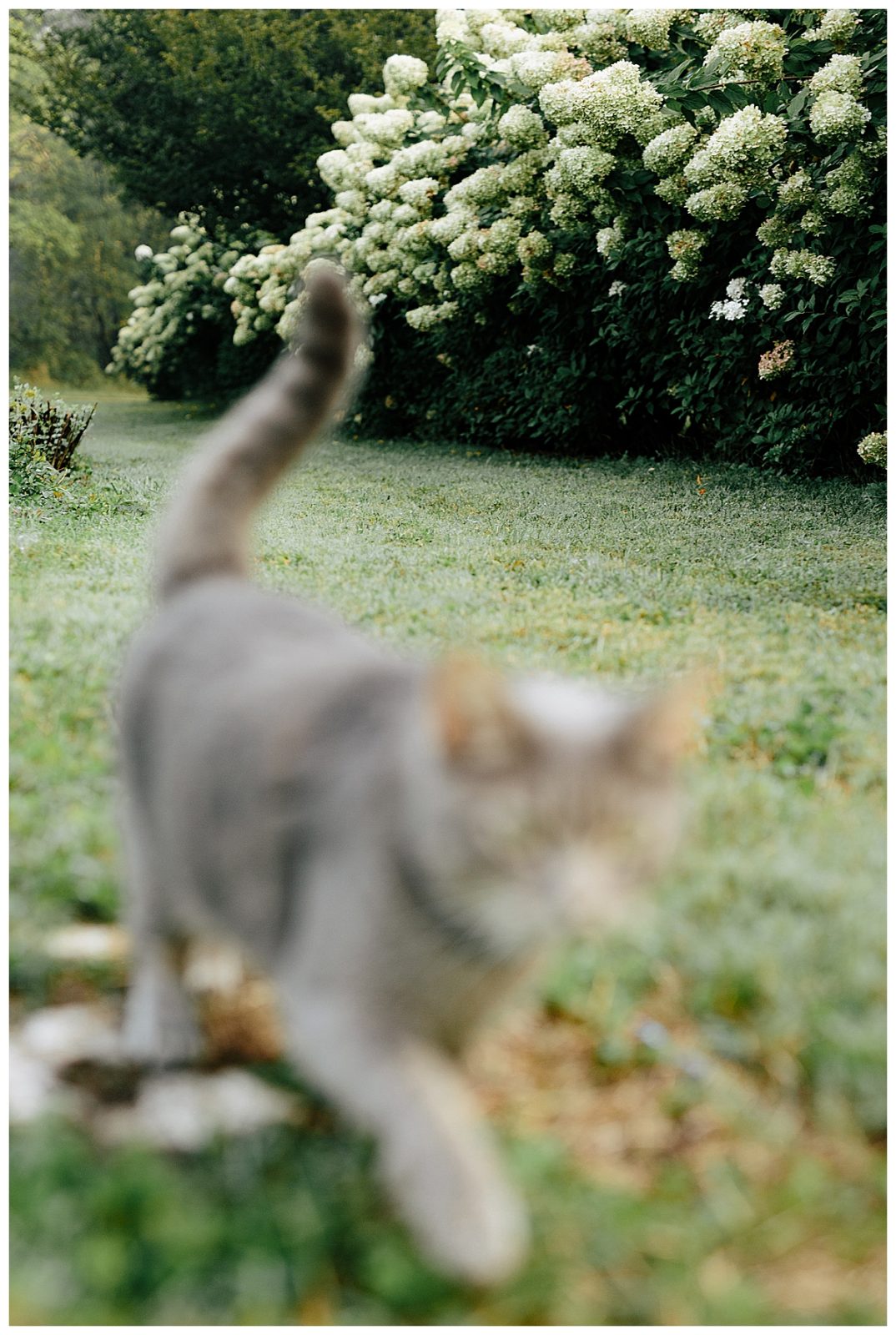 Wollam Gardens Portrait Session Seana Shuchart Photography